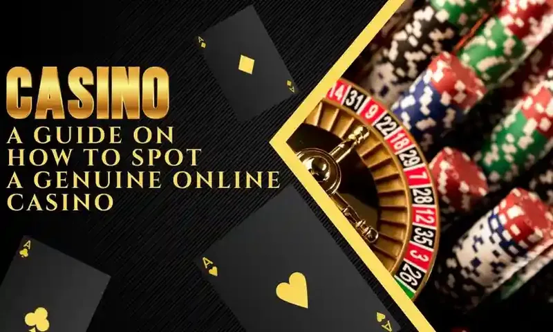 Legitimate casino security shield and cyber fraud prevention badge